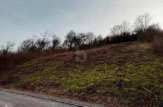Grundstück zu kaufen in 54298 Welschbillig, SONNENVERWÖHNTE 839 QM MIT AUSSICHT