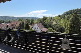 Einfamilienhaus kaufen in Am Buchenrain 14, 74343 Sachsenheim, Einfamilienhaus mit Einliegerwohnung