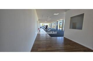 Büro zu mieten in Wilhelm-Leonhard-Straße 16, 77694 Kehl, Moderne, lichtdurchflutete Bürofläche, 5 Stellplätze, repräsentativ, barrierefrei, sofort verfügbar