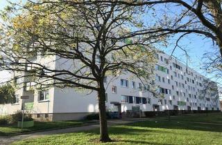 Wohnung mieten in Justus-Von-Liebig-Straße 28, 19063 Schwerin, Hier wird für Sie frisch renoviert!
