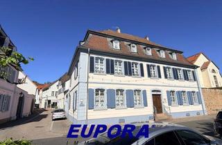 Gewerbeimmobilie mieten in Neue Allee 11, 67292 Kirchheimbolanden, EUPORA® Immobilien: Gewerberäume im ehem. Kavaliershaus in Kirchheimbolanden