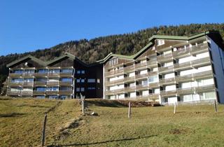 Wohnung kaufen in 87538 Balderschwang, Ruhiges und helles 2-Zimmer-Appartement in Balderschwang