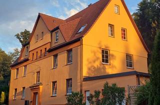 Wohnung mieten in 09356 St. Egidien, Zwei Zimmer in St. Egidien: Ihr neues Zuhause mit Gartenmitnutzung
