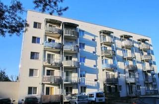 Wohnung mieten in Waldesruh, 15806 Zossen, Waldesruh - Lichtdurchflutete Wohnung mit Balkon
