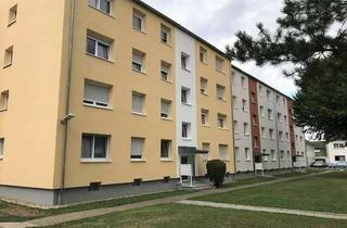 Wohnung mieten in Bodelschwinghstraße, 69181 Leimen, Neu renovierte 2-Zimmer-Wohnung
