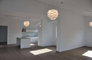 Lofts mieten in 34128 Harleshausen, Modernes, lichtdurchflutetes Loft mit großer Dachterrasse