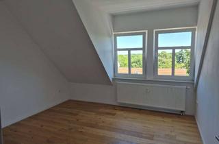 Wohnung mieten in Dieskaustraße 72, 04229 Kleinzschocher, Ansprechende Dachgeschosswohnung mit Weitblick am Volkspark