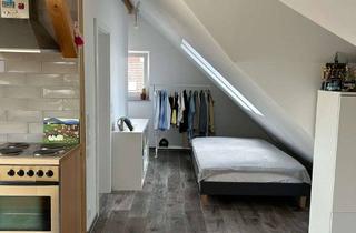 Wohnung mieten in Schulzenstr. 4a, 63486 Bruchköbel, Großzügige Einzimmerwohnung in ruhiger Lage