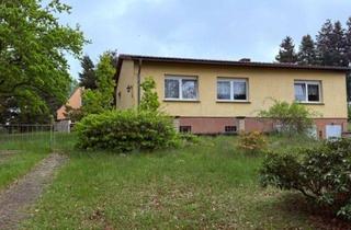 Einfamilienhaus kaufen in 14828 Görzke, **Massiv unterkellertes EFH im Bungalowstil mit Tiefgarage und großem Grundstück im Töpferort**