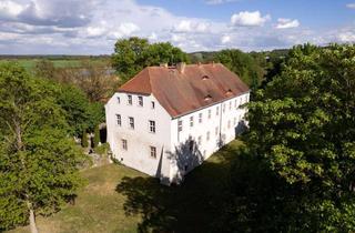 Haus kaufen in 16248 Parsteinsee, SCHLOSS NEUENHAGEN - Renaissancearchitektur mit Geschichte in einzigartiger Naturlage