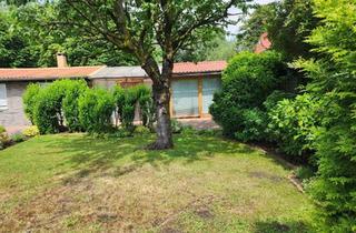 Haus mieten in Uferstrasse 27b, 38114 Braunschweig, Leben im Grünen an der Oker/Ölpersee