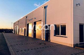 Gewerbeimmobilie mieten in 50374 Erftstadt, HALLE | LAGER | BÜRO | DUSCHE | EBENERDIGES TOR | VIDAN REAL ESTATE