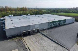 Gewerbeimmobilie mieten in 38527 Meine, Hallenlächen in Bechtsbüttel