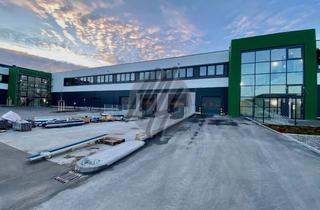 Büro zu mieten in 97424 Schweinfurt-Süd, NEUBAU / ERSTBEZUG ✓ RAMPE + EBEN ✓ 24/7 ✓ Lager-/Logistik (18.500 m²) mit Büro-/Sozial