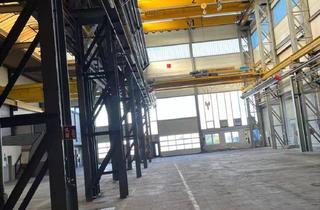 Gewerbeimmobilie mieten in 47803 Kempener Feld/Baakeshof, Industriehalle mit flexibler Nutzung in Krefeld