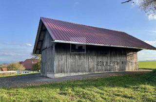 Gewerbeimmobilie mieten in 88145 Hergatz, LAGER- UND ABSTELLFLÄCHEN – Wigeb 3 – Sanierte Scheune mit Stromanschluss