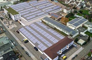 Büro zu mieten in 53474 Bad Neuenahr-Ahrweiler, Industriehalle mit Büro und Freifläche in Bad Neuenahr-Ahrweiler