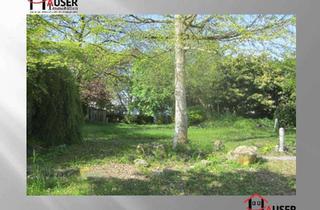 Grundstück zu kaufen in 69231 Rauenberg, Rauenberg: 643 m² Grundstück, erschlossen, an direkter Ortsrandlage an den Weinbergen.