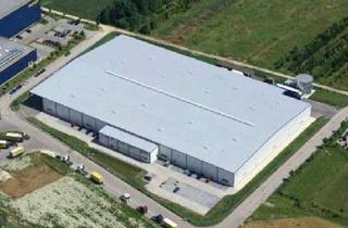 Gewerbeimmobilie mieten in Carl-Zeisss-Straße 10, 89129 Langenau, BÜROFLÄCHE IN LANGENAU