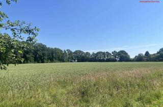 Gewerbeimmobilie kaufen in 27243 Prinzhöfte, Landwirtschaftliche Fläche zum Verkauf (ca. 105 214 m²), Samtgemeinde Harpstedt - Prinzhöfte