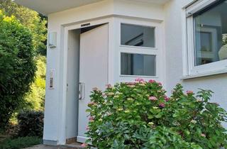 Wohnung mieten in 69151 Neckargemünd, Lichtdurchflutete, renovierte : 2-Zimmer-Wohnung in Neckargemünd