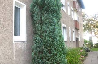 Wohnung mieten in Beethovenstraße, 31785 Hameln, Gemütliche Single - Wohnung