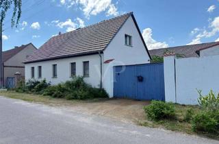 Haus kaufen in 03238 Sallgast, Zwei Häuser - Ein Preis! EFH und Ferienhaus in idyllischer Lage in Sallgast (Lausitzer Seenland)