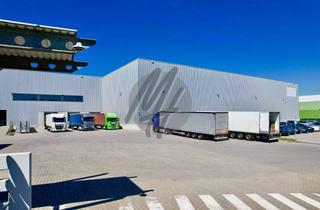 Büro zu mieten in 97424 Schweinfurt-Süd, RAMPE + EBEN ✓ KRANBAHN ✓ 24/7 ✓ Lager-/Fertigung (8.500 m²) & Büro (1.300 m²) zu vermieten