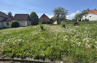 Grundstück zu kaufen in 31084 Freden, Großzügiges Baugrundstück mit vielfältigen Möglichkeiten! Historischer Ortskern