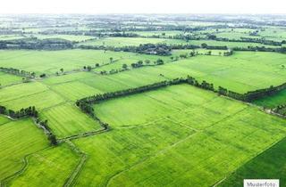 Grundstück zu kaufen in 07586 Kraftsdorf, Land- / Forstwirtschaft in 07586 Kraftsdorf, Der Schatzgraben