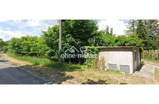Immobilie kaufen in Strasse Des Friedens B, 15306 Sachsendorf, Unbebautes Grundstück in schöner Oderbruchlandschaft in Sachsendorf/Oderbruch