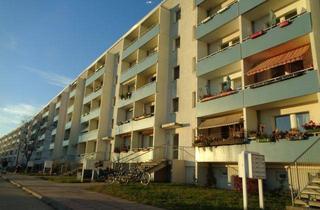 Wohnung mieten in Rosa-Luxemburg-Allee 88, 14772 Brandenburg, Hübsche renovierte 3 Raum Wohnung mit offener Küche