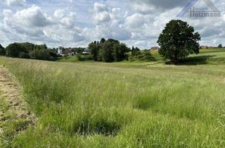 Grundstück zu kaufen in 32278 Kirchlengern, 6 Landwirtschaftliche Fläche (u.a.) in Kirchlengern - Holzmann Immobilien
