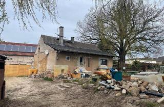 Haus kaufen in 04924 Bad Liebenwerda, Bad Liebenwerda - Kleines Haus , großer Garten