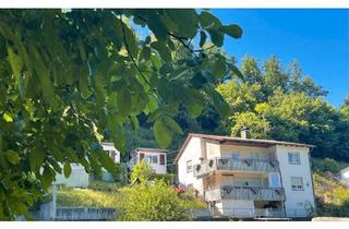 Einfamilienhaus kaufen in 78132 Hornberg, Hornberg - Unverbaubare, naturnahe Traumlage - mit Wald und Quelle
