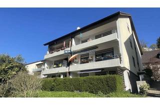 Wohnung kaufen in 69118 Ziegelhausen, Praktisches 1,5 Zimmer Apartment mit großer Terrasse Richtung Neckar und eigenem Zugang