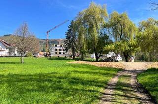 Wohnung kaufen in 77887 Sasbachwalden, Komfortabler Neubau im Fachwerkstil - auch als Ferienwohnung geeignet