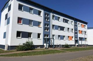 Wohnung mieten in Ringstraße 17, 18519 Reinberg, Ruhig gelegen und gut geschnitten - 2-Raum-Wohnung in Sundhagen