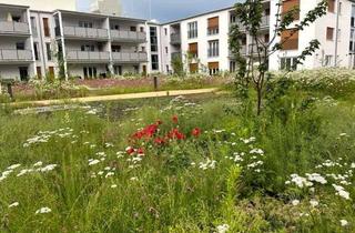 Wohnung mieten in Otl-Aicher-Straße 2a, 82256 Fürstenfeldbruck, Lichtdurchflutete 3-Zimmer-Wohnung mit Terrasse