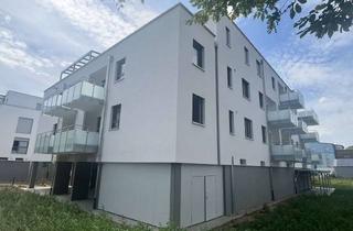 Wohnung mieten in 97236 Randersacker, Servicewohnen - Moderne 2-Zimmer-Mietwohnung in einem Neubau in Randersacker mit optionaler Pflege