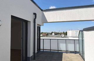 Wohnung mieten in 68305 Waldhof, Exklusive 4-Zimmer Wohnung mit Dachterrasse & Loggia in Mannheim-Gartenstadt