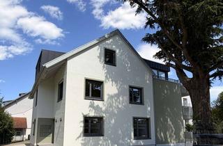 Wohnung mieten in Burgunder Str. 17, 79576 Weil am Rhein, Erstbezug nach Sanierung: 2-Zi.-Wohnung mit EBK & Balkon in Haltingen