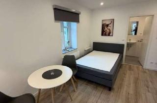 Wohnung mieten in Ehmener Straße, 38165 Lehre, Möbliert und neu saniertes 1-Zimmer-Apartment