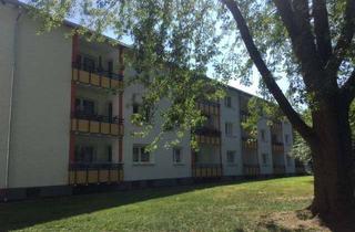 Wohnung mieten in Lipper Hellweg 227 b, 33605 Stieghorst, Nette Nachbarn gesucht: renovierte 2-Zimmer-Wohnung
