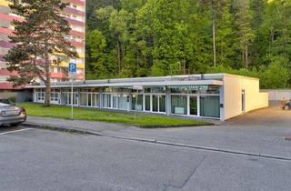 Haus kaufen in 79183 Waldkirch, Kapitalanlage mit Top-Marge: 5 renovierte Einheiten in Waldkirch