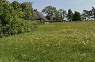 Haus kaufen in 18225 Kühlungsborn, Grundstück mit historischen Reetdach-Hallenhaus