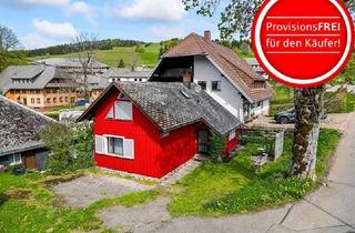 Haus kaufen in 79674 Todtnau, Kapitalanlage oder Rückzugsort: Saniertes Ferienhaus mit Skiliftnähe