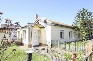 Einfamilienhaus kaufen in 39326 Wolmirstedt, Einfamilienhaus mit großem Entwicklungspotenzial und Nebengebäuden in Groß Ammensleben
