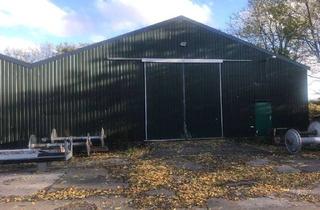 Gewerbeimmobilie mieten in Industriestr. 15, 42477 Radevormwald, 322 m² Halle mit hoher Einfahrt zu vermieten
