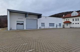Gewerbeimmobilie mieten in 72393 Burladingen, Hochwertig sanierte moderne Gewerbehalle